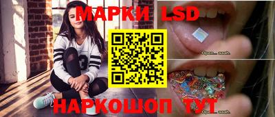 сатива Гатчина