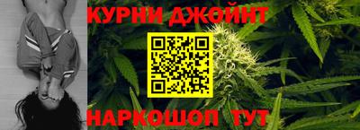 сатива Гатчина
