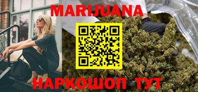 сатива Гатчина