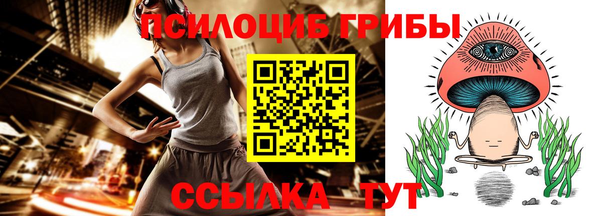 Псилоцибиновые грибы GOLDEN TEACHER  Псилоцибиновые грибы Psilocybine cubensis  Мелеуз  Вход с VPN 